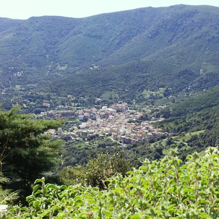 Διαμέρισμα Terebinto Urzulei